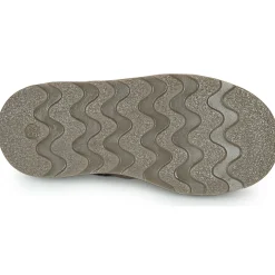 El Naturalista - BROSSI