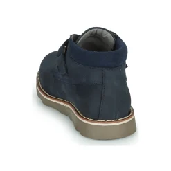 El Naturalista - BROSSI