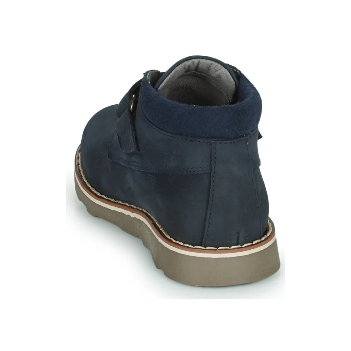 El Naturalista - BROSSI