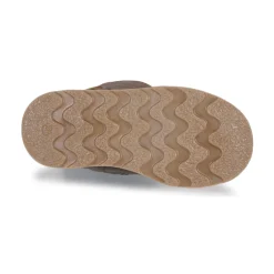 El Naturalista - Brossi