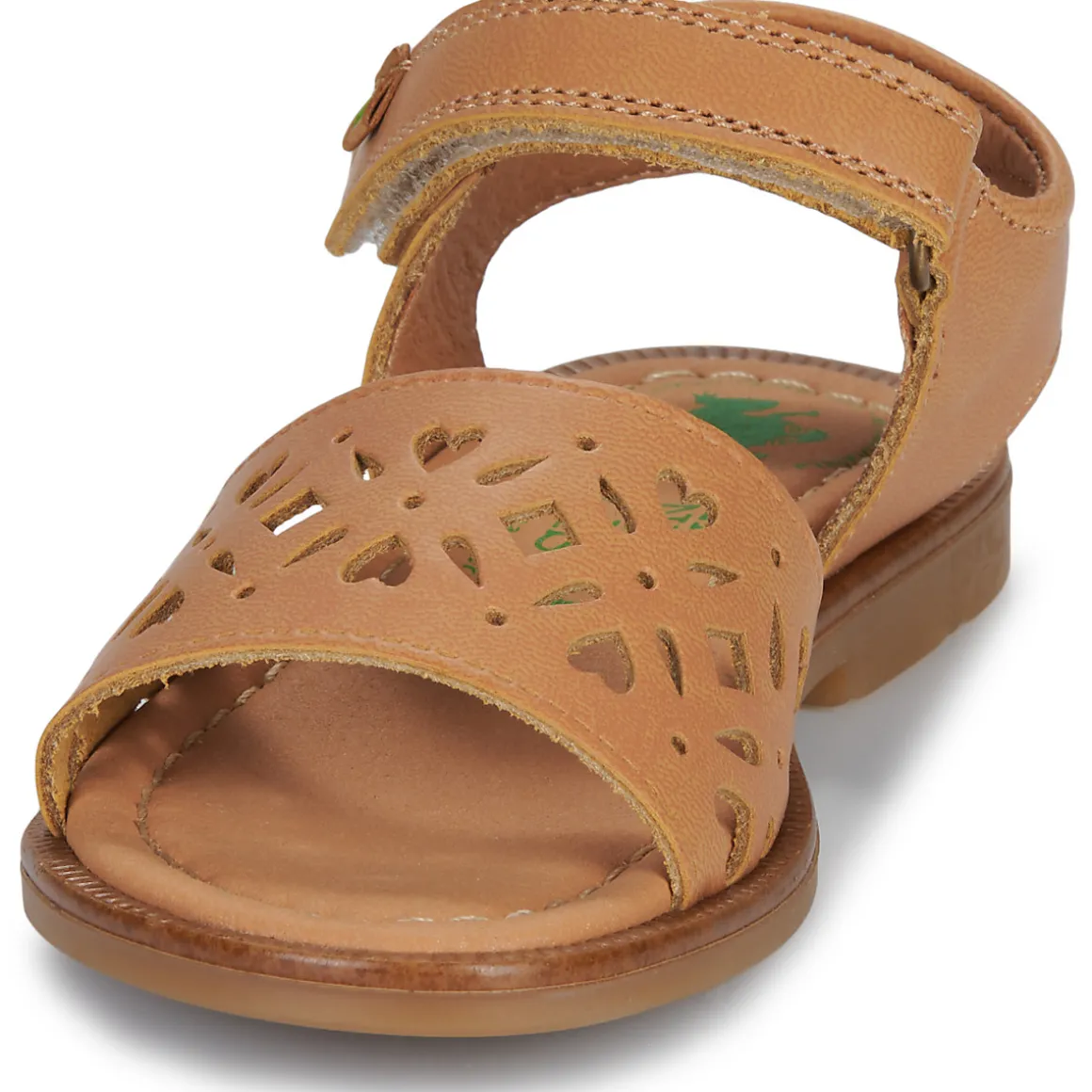 El Naturalista - 15235-CUERO