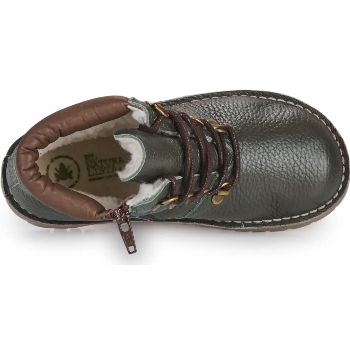 El Naturalista - Denali