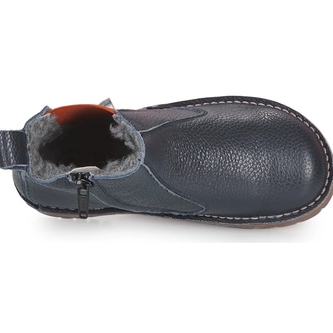 El Naturalista - Denali