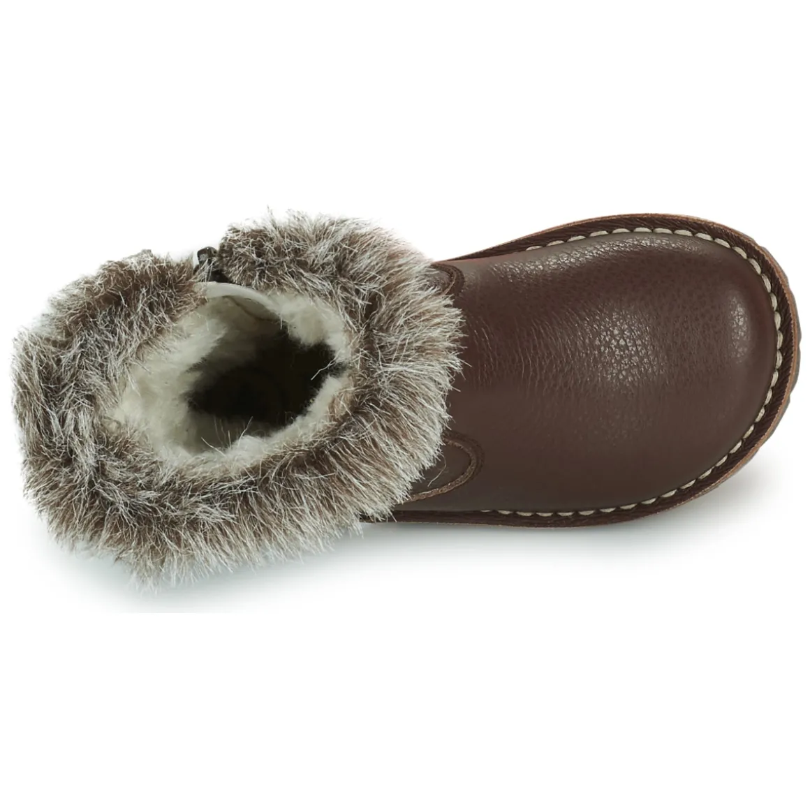 El Naturalista - DENALI