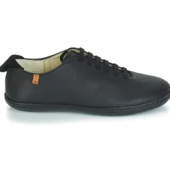 El Naturalista - EL VIAJERO FLIDSU