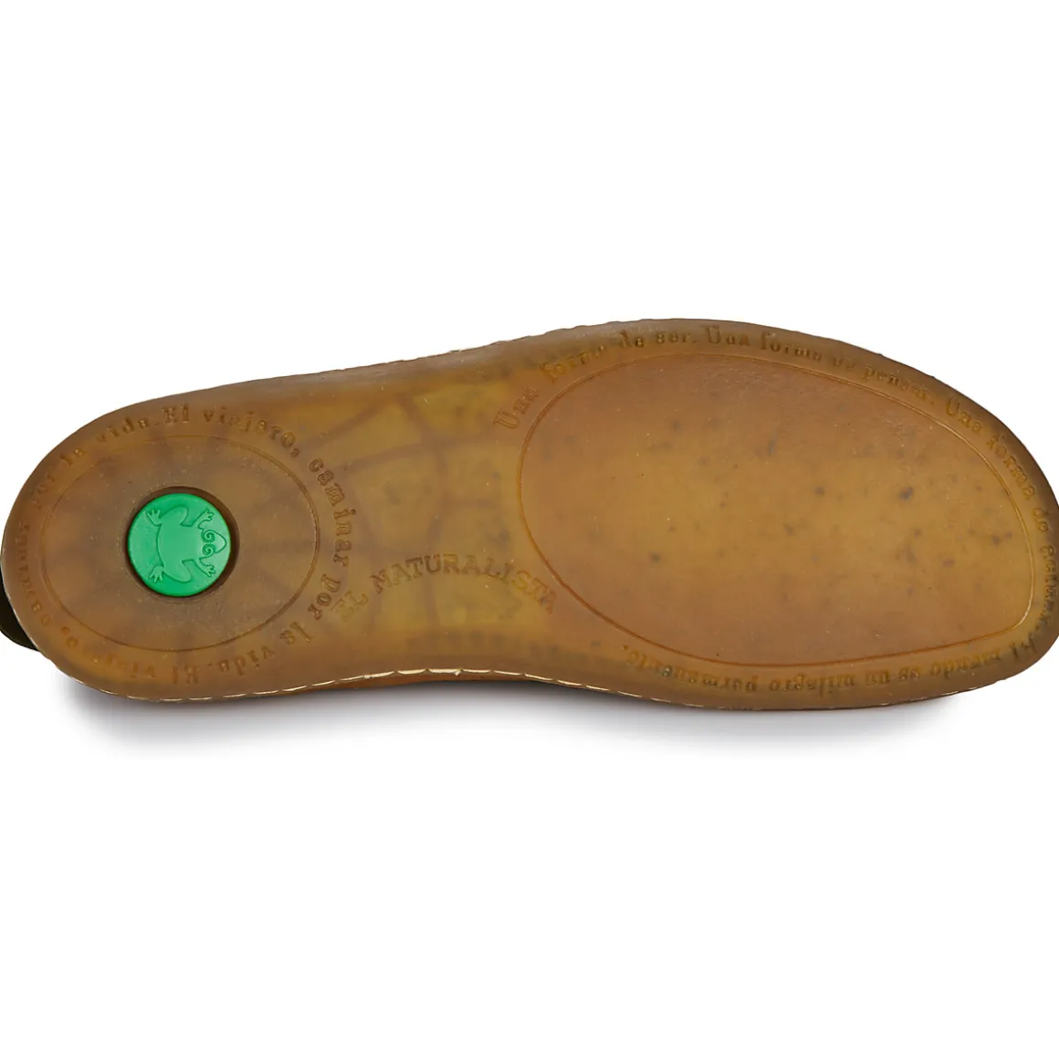 El Naturalista - EL VIAJERO FLIDSU