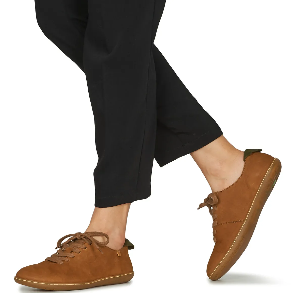 El Naturalista - EL VIAJERO FLIDSU