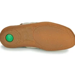 El Naturalista - EL VIAJERO N5288T