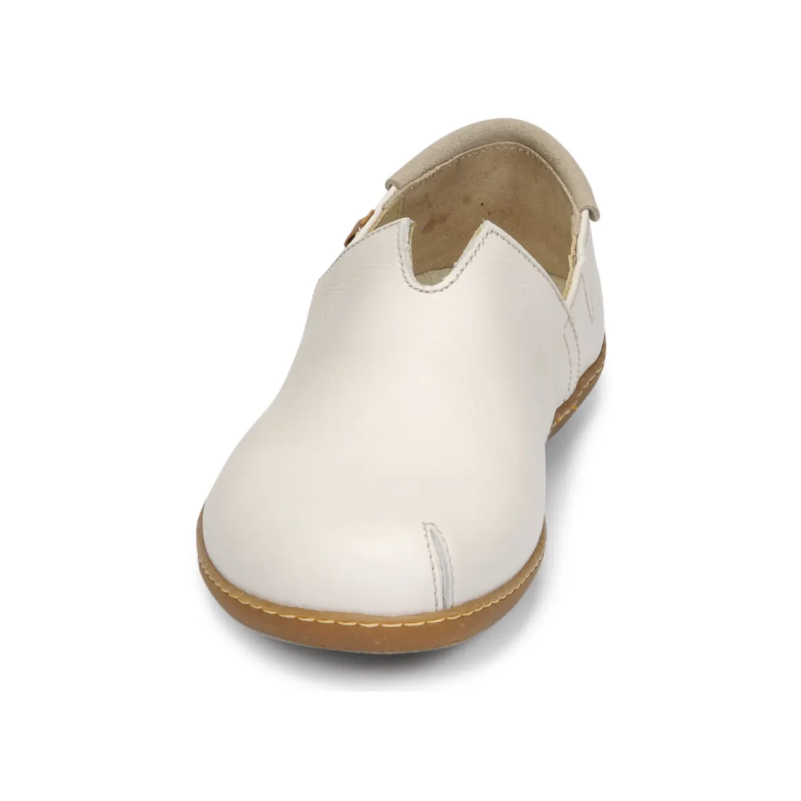 El Naturalista - EL VIAJERO N275