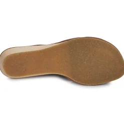 El Naturalista - GAIA N854