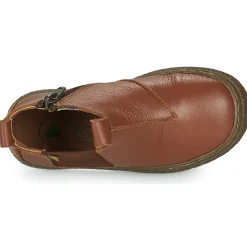 El Naturalista - HELMET