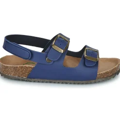 El Naturalista - INCOGNITO