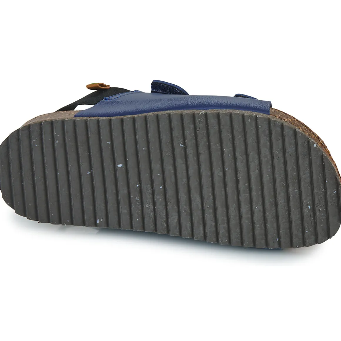 El Naturalista - INCOGNITO