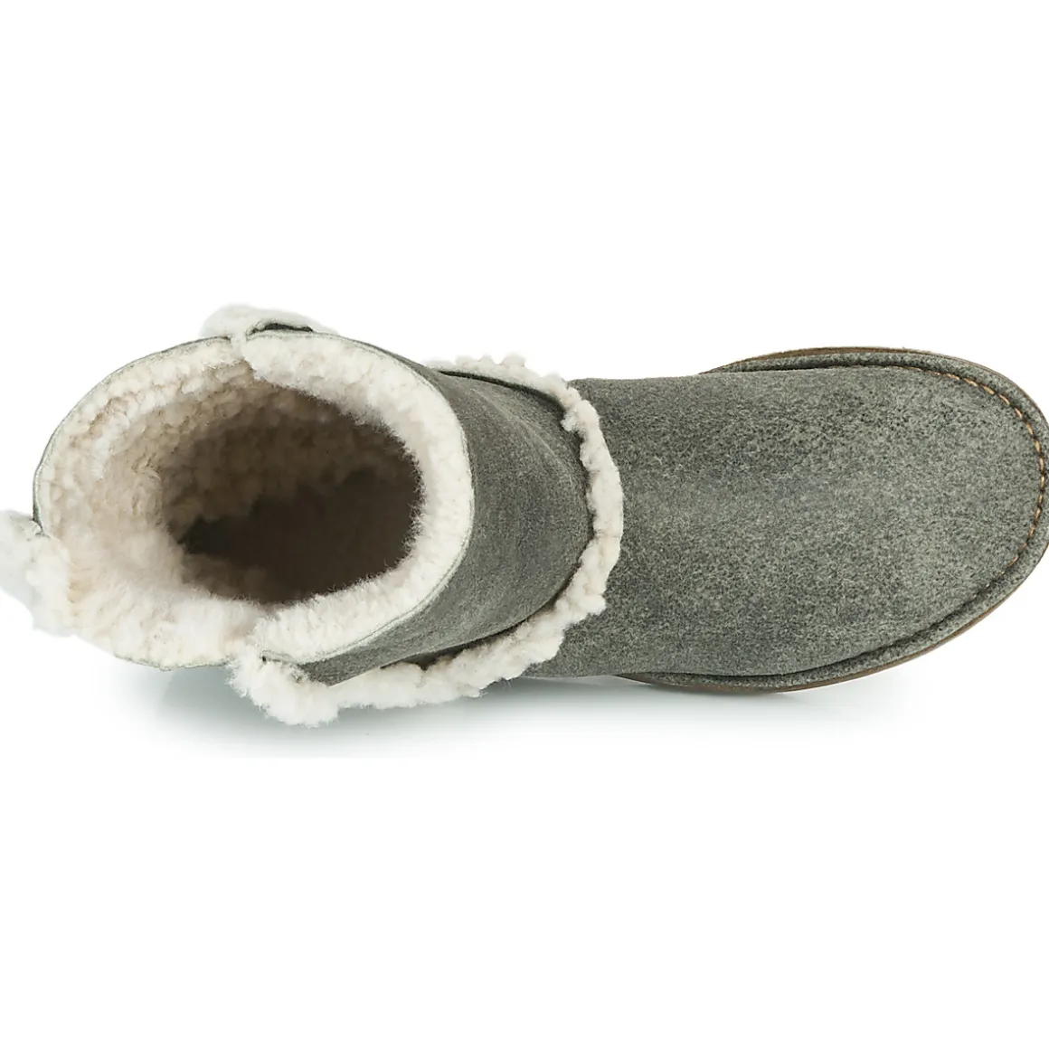 El Naturalista - LUX