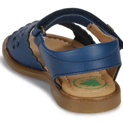 El Naturalista - 15204-MARINO