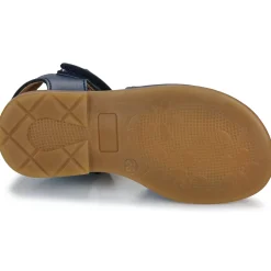 El Naturalista - 15204-MARINO