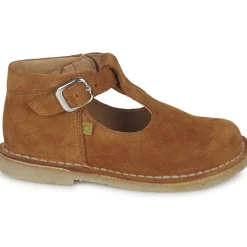 El Naturalista - NASHVILLE