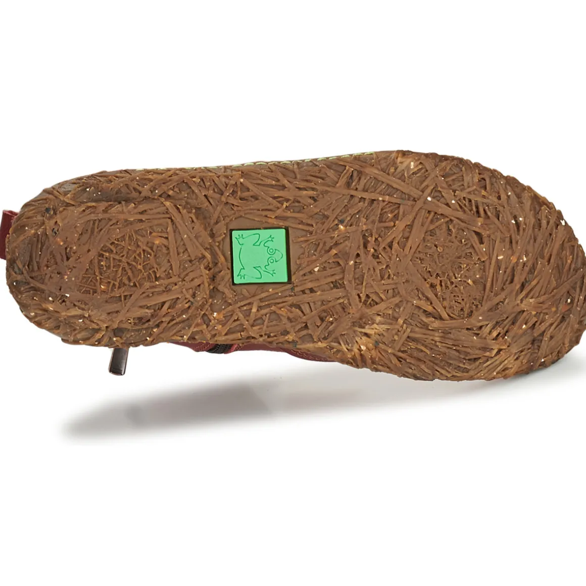 El Naturalista - NIDO ELLA N722