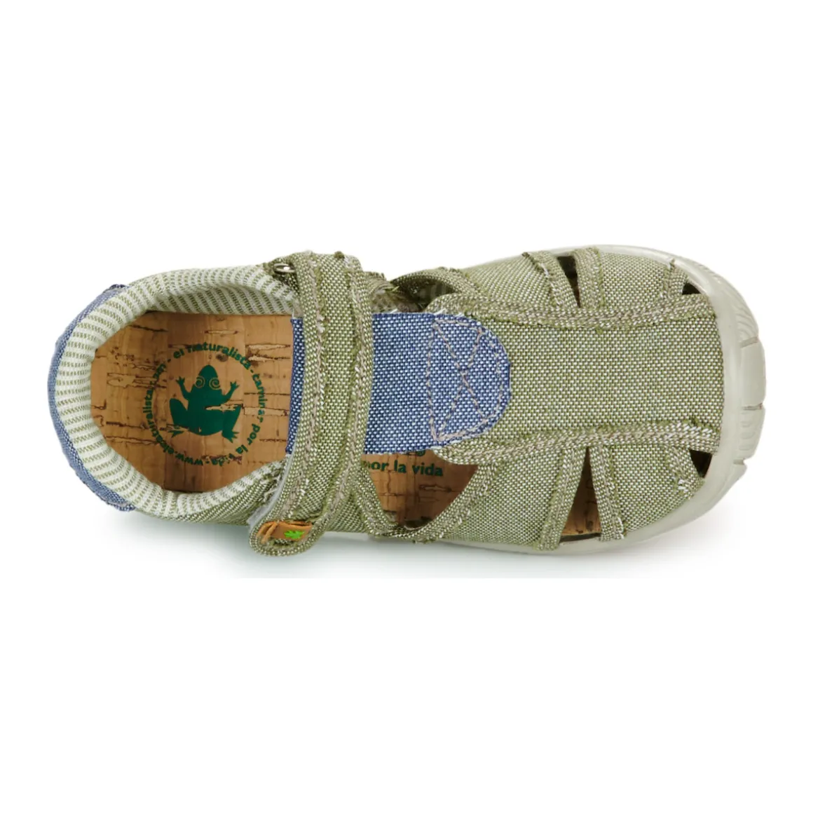 El Naturalista - NT74129