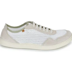 El Naturalista - ORIGEN N5914