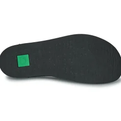 El Naturalista - ORIGEN N5912