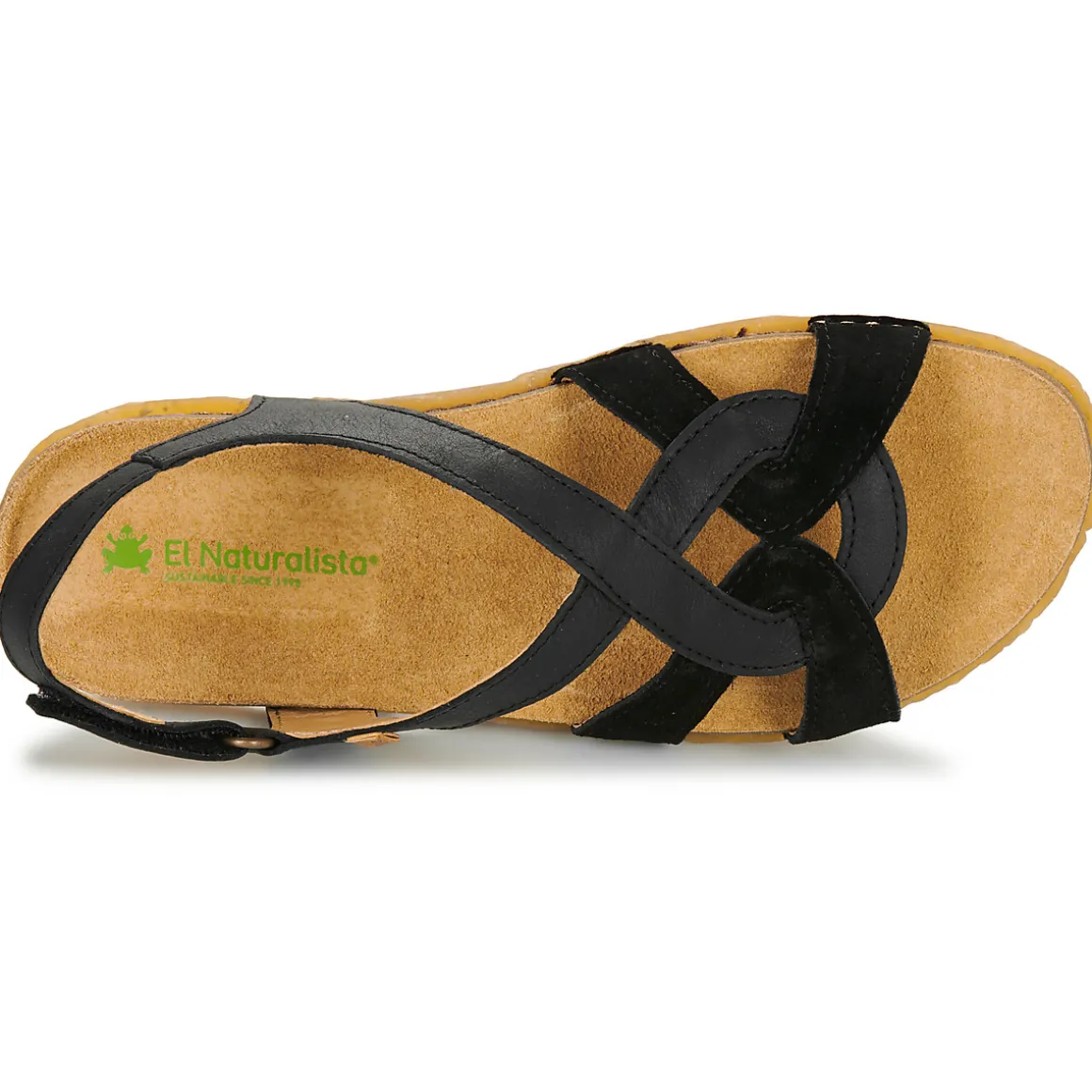 El Naturalista - PANGLAO N5819