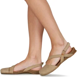 El Naturalista - PANGLAO N5813