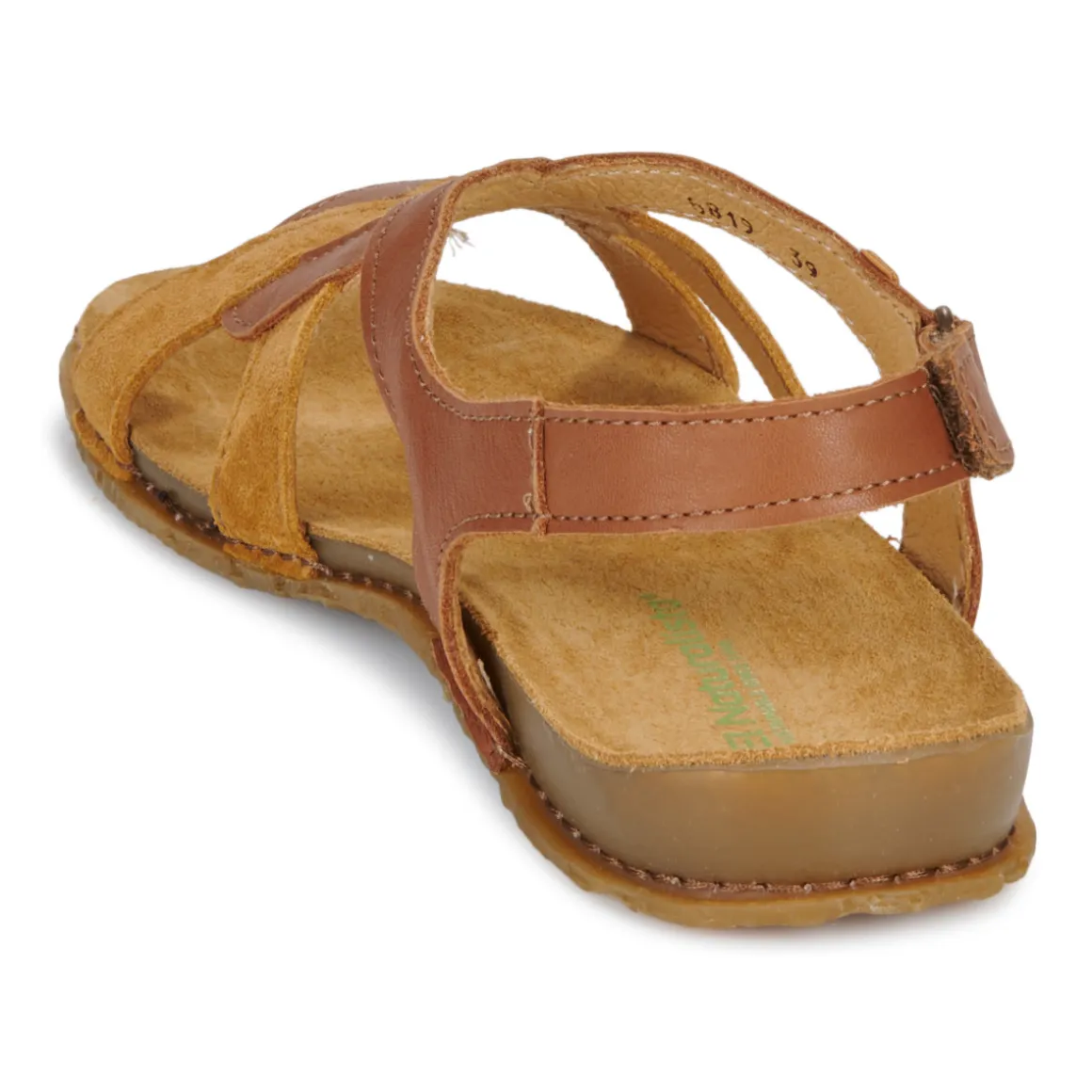 El Naturalista - PANGLAO N5819