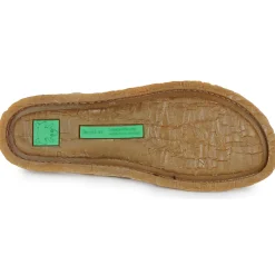 El Naturalista - PANGLAO N5813