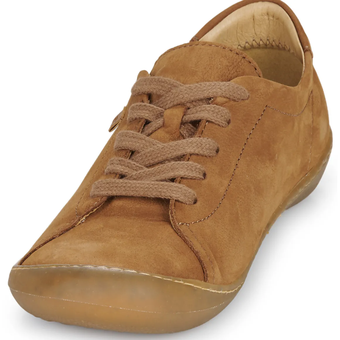 El Naturalista - PAWIKAN N5770