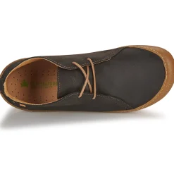 El Naturalista - PAWIKAN N5779P