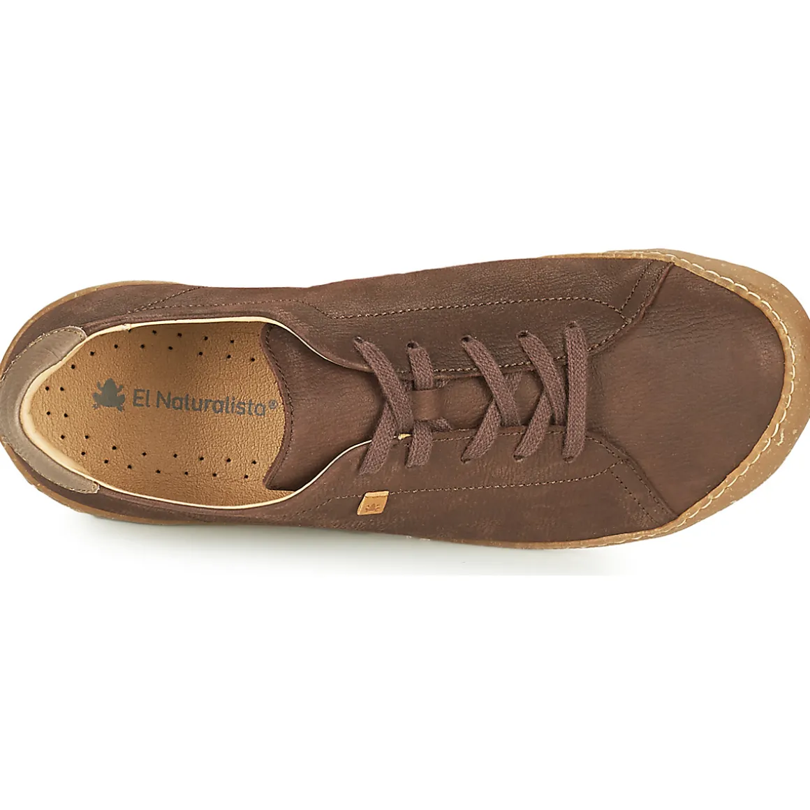 El Naturalista - PAWIKAN N5770