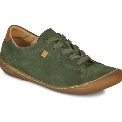 El Naturalista - PAWIKAN N5770