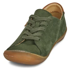 El Naturalista - PAWIKAN N5770