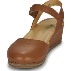 El Naturalista - PICUAL N5850