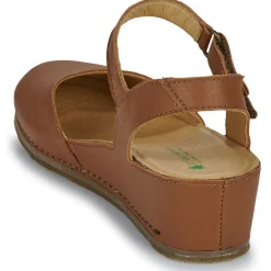 El Naturalista - PICUAL N5850