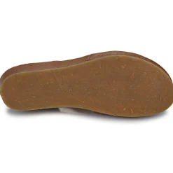 El Naturalista - PICUAL N5850