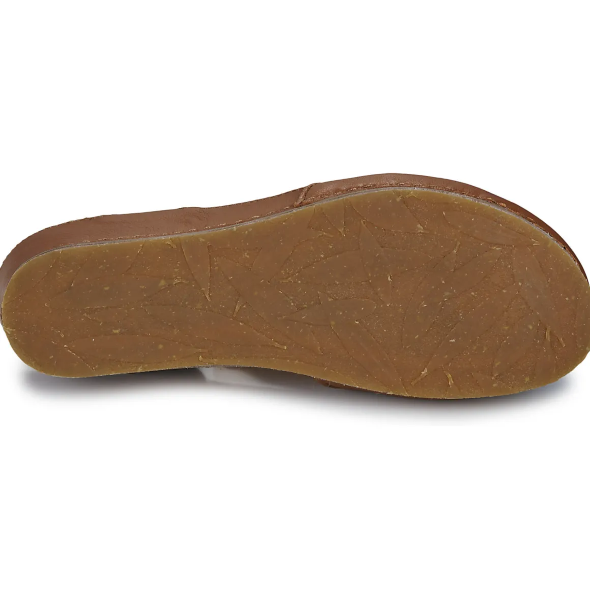 El Naturalista - PICUAL N5850