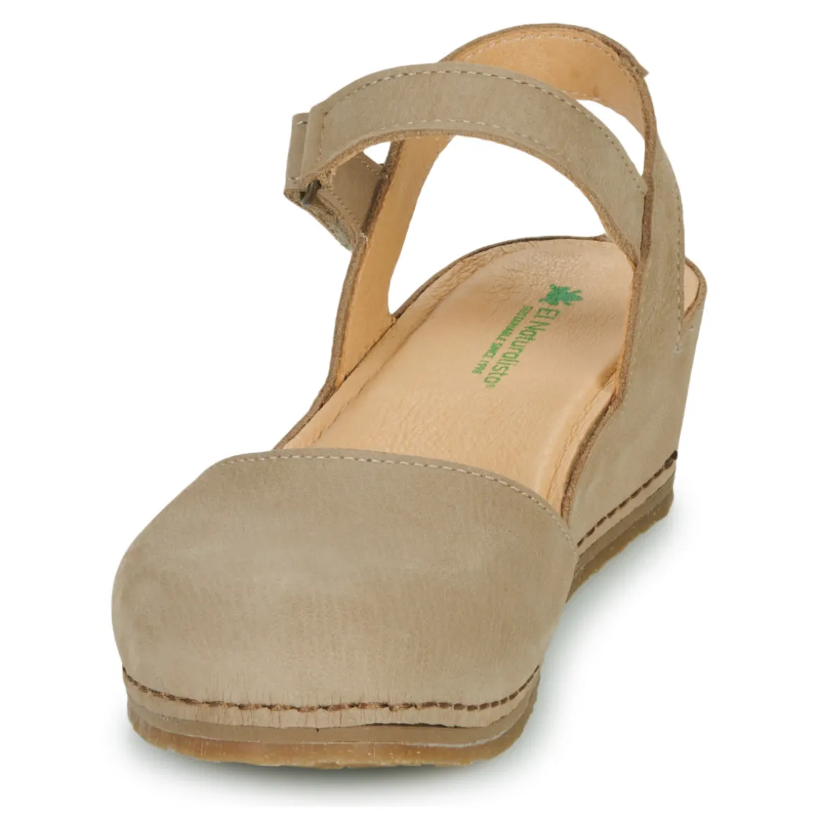 El Naturalista - PICUAL N5850