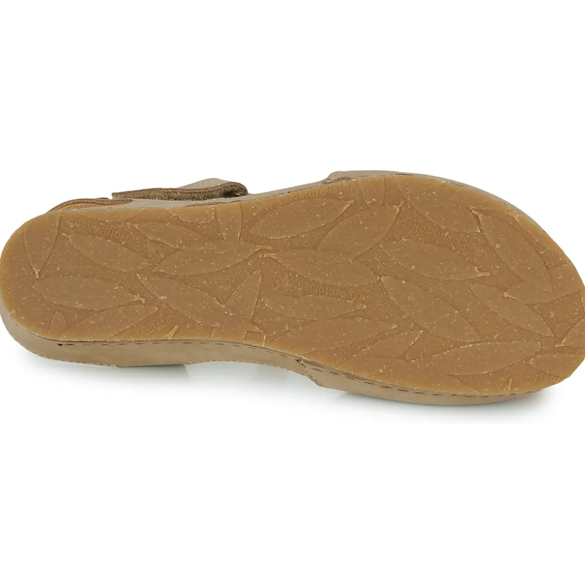 El Naturalista - PICUAL N5850