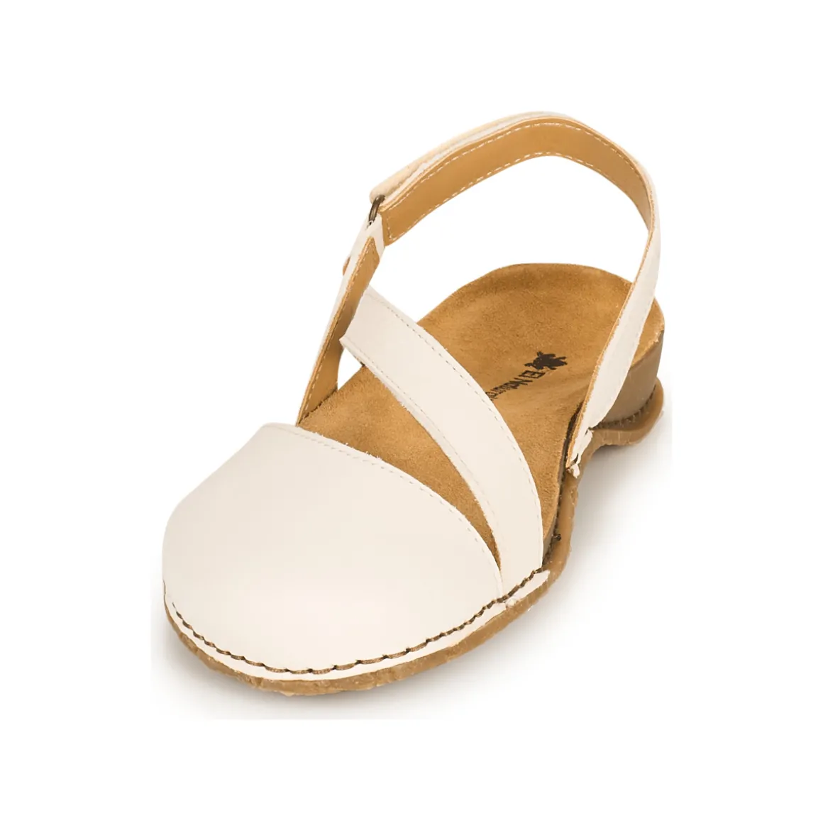 El Naturalista - PLANGLAO