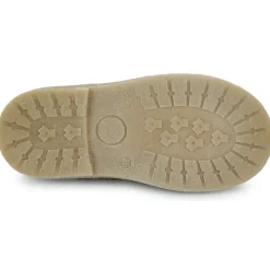 El Naturalista - Polvere