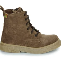 El Naturalista - Polvere