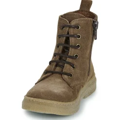 El Naturalista - Polvere