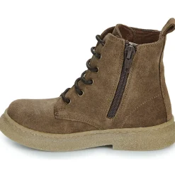 El Naturalista - Polvere