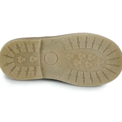 El Naturalista - Polvere