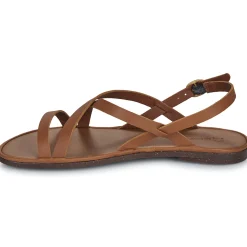 El Naturalista - TULIP N5694