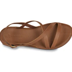 El Naturalista - TULIP N5694