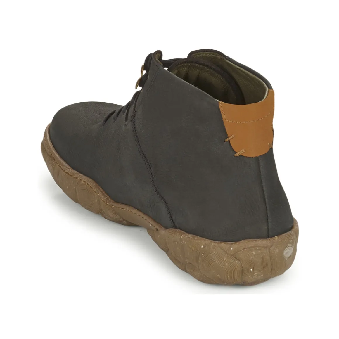 El Naturalista - TURTLE N5083