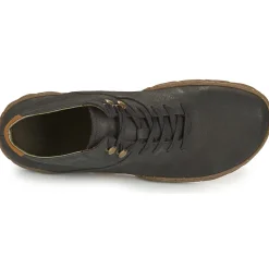 El Naturalista - TURTLE N5083